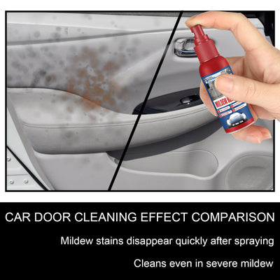 Cleaning And Maintenance Car Interior Mould Removal Spray