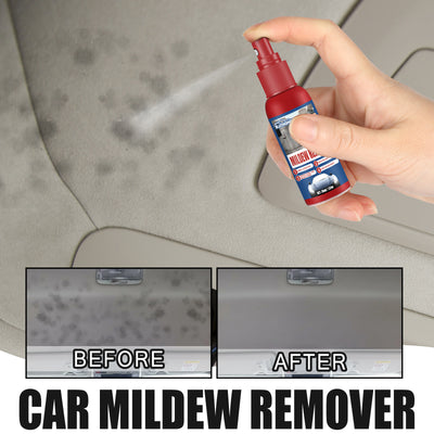 Cleaning And Maintenance Car Interior Mould Removal Spray